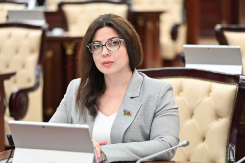 Deputat Şəhidlər xiyabanında çəkilişlərə məhdudiyyət və geyim qadağalarının tətbiqini təklif edib