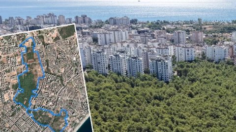 1970-ci ildən davam edən miras mübahisəsi - 55 ildir bitməyən mübarizə