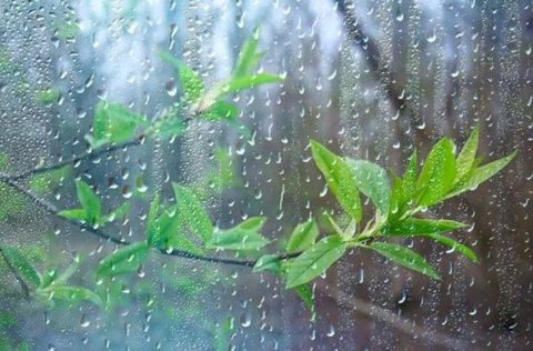 Yağıntılı və küləkli hava şəraiti davam edir − Faktiki hava
