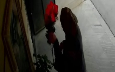 Şəhidin büstü üzərindəki gülləri oğurlayan qadın tapıldı - Video - Yenilənib