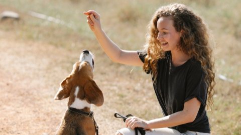 Bakıda küçə itinə yemək verən qadın DÖYÜLDÜ