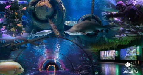 Antalyanın tematik parkları bu qış və yazda da qonaqlarını gözləyir – FOTOLAR