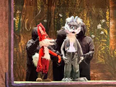 Kuklaçılar premyeraya hazırlaşır