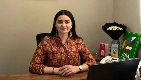 "Bu boşluqlar yeniyetmələri aqressiyaya sürükləyir" - Mütəxəssis DANIŞDI