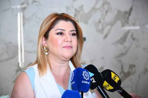 Dövlət Proqramı İdarəetmə Qrupunun rəhbəri vəzifəsindən AYRILDI