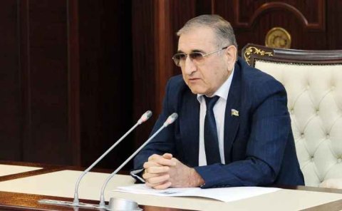 Vətəndaş niyə öz həyətindəki ağacı kəsə bilməz? - Komitə sədri AÇIQLADI