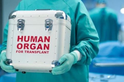 Orqan bağışlamaq savabdır, yoxsa günah?